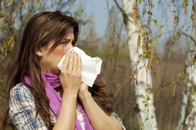 Alerte : risque d'allergie aux pollens presque partout en France